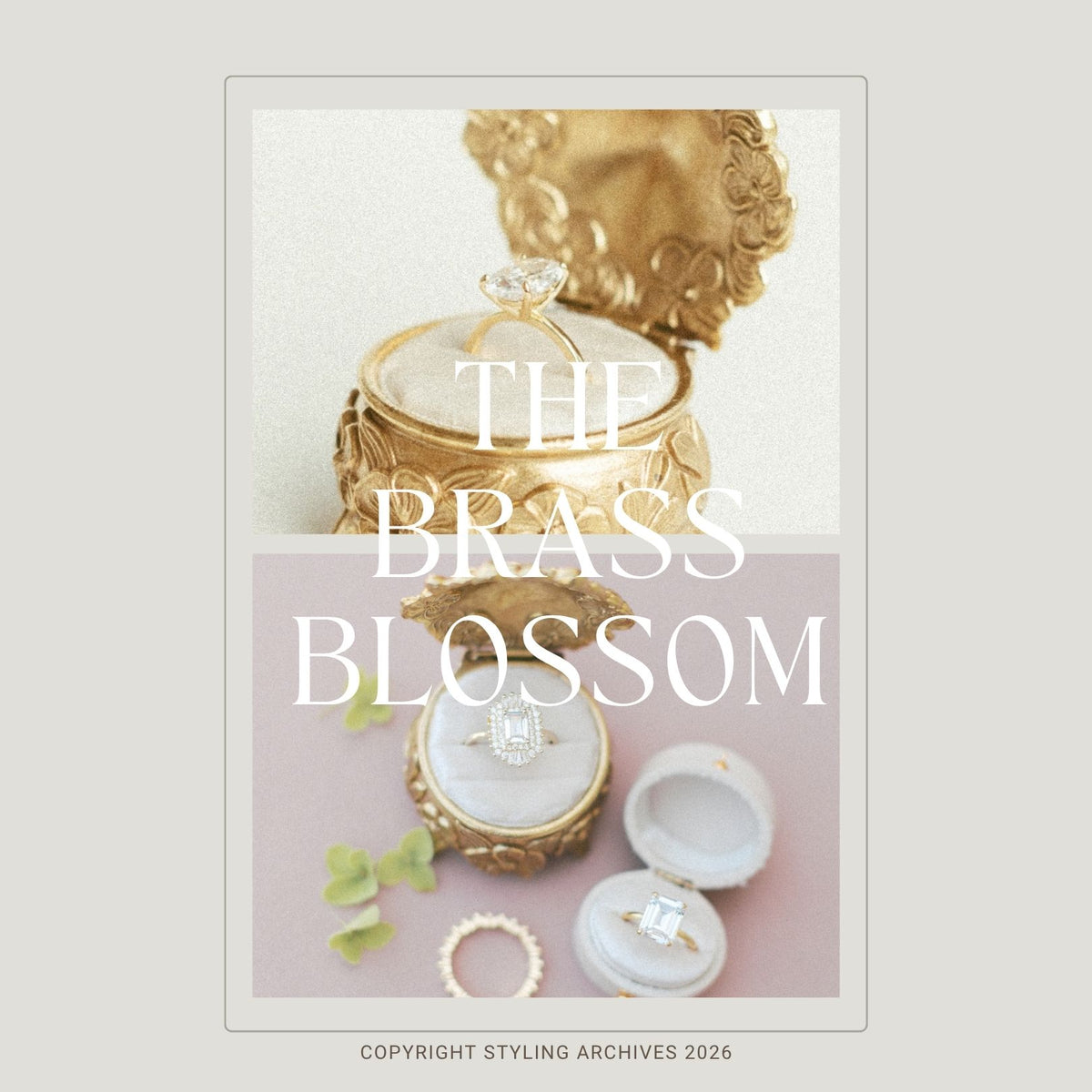 The Brass Blossom ring box cover graphic with the box open