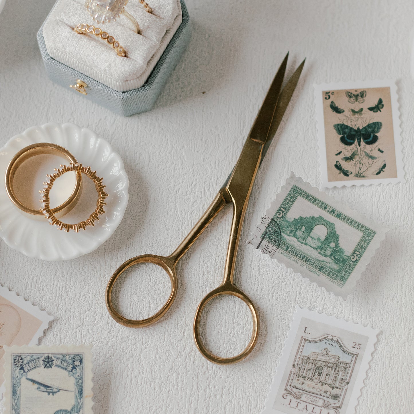 The Hydrangea Essentials Collection